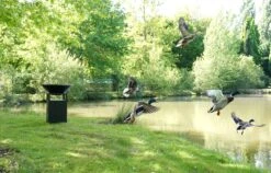 Brasero Plancha Haut NOIR - Diamètre 60cm -Supra || MODERNA || Invicta Soldes cxsw